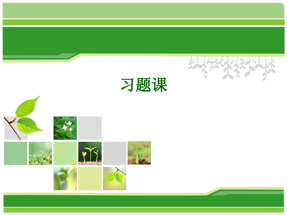 习题课3.20.ppt_第1页