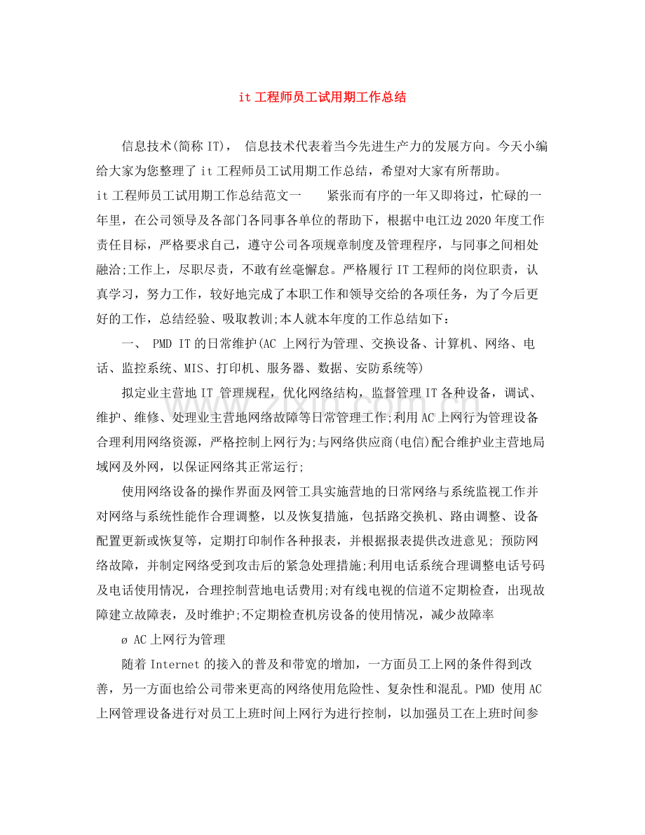 it工程师员工试用期工作总结.docx_第1页