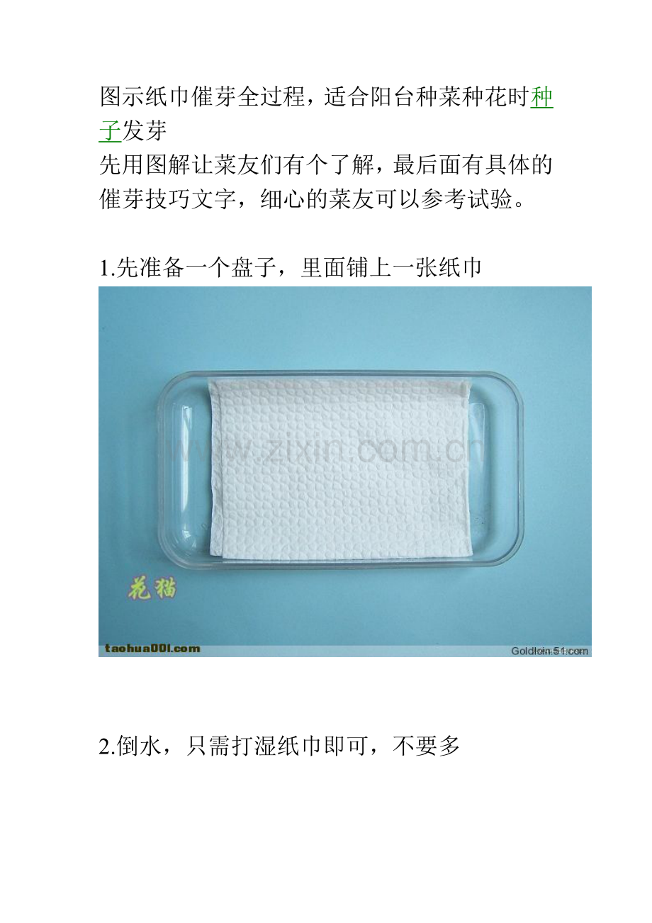 图示纸巾催芽全过程.doc_第1页