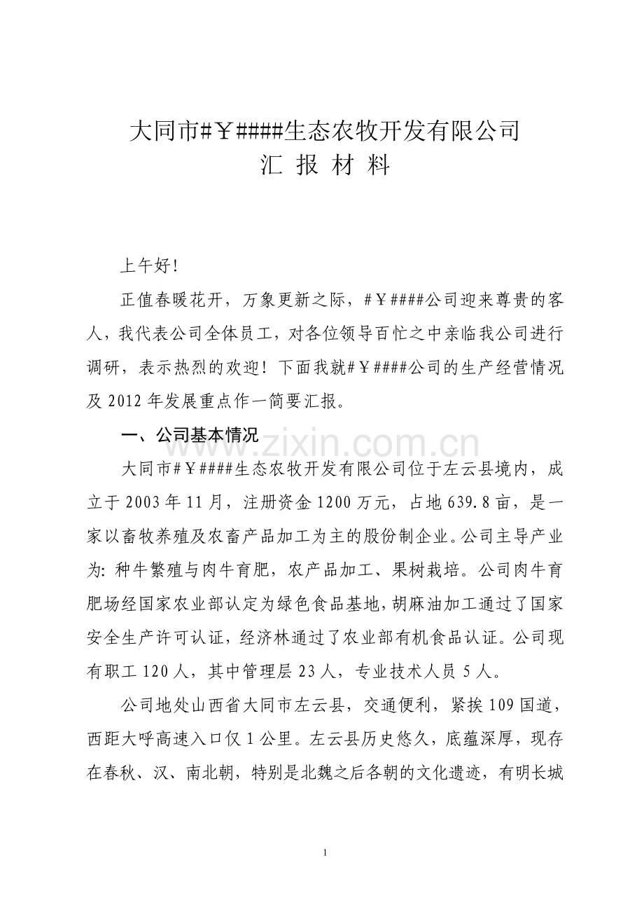 公司汇报材料.doc_第1页