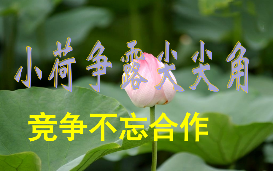 第二节竞争与合作.ppt_第1页