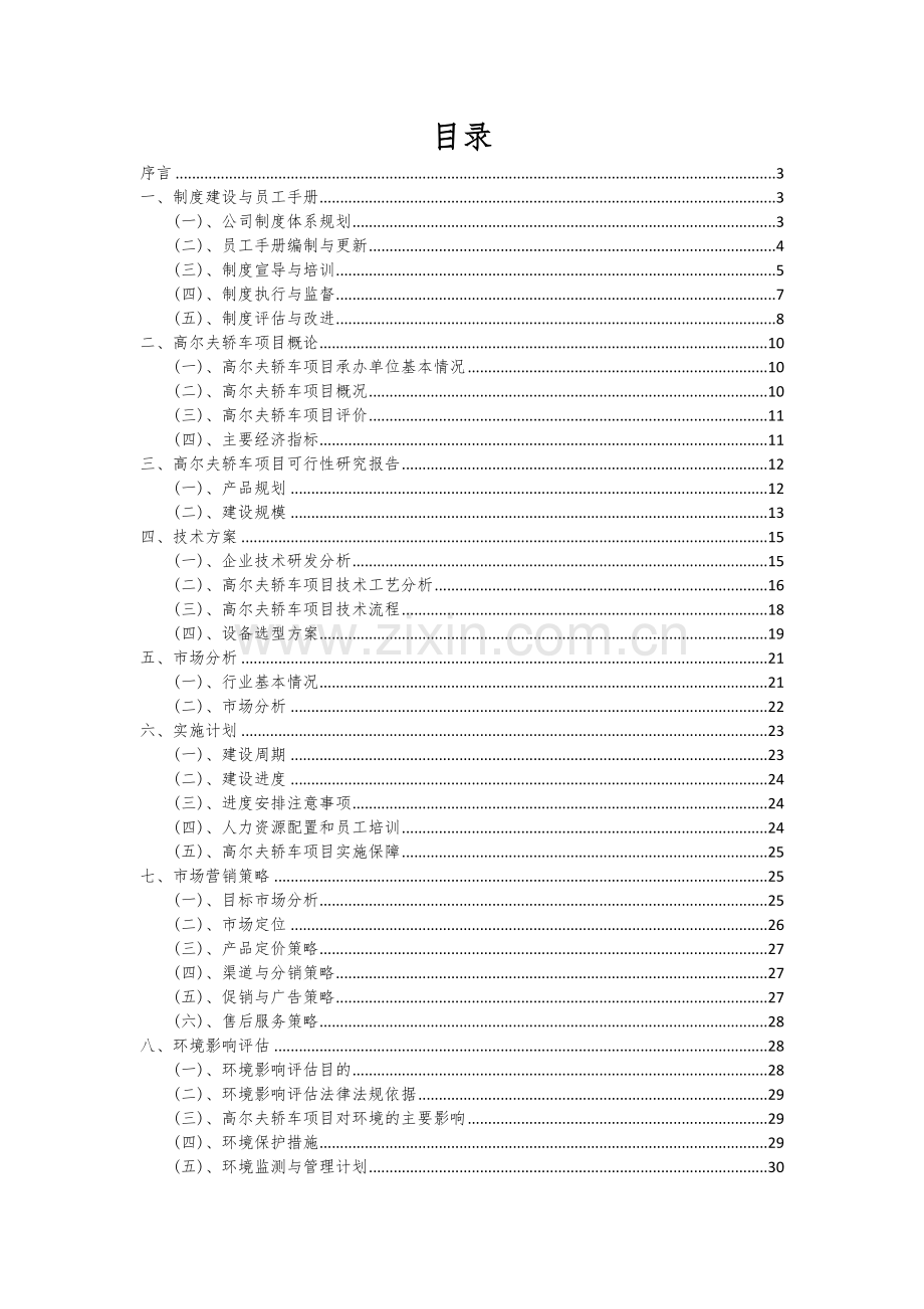 高尔夫轿车项目创业计划书.docx_第2页