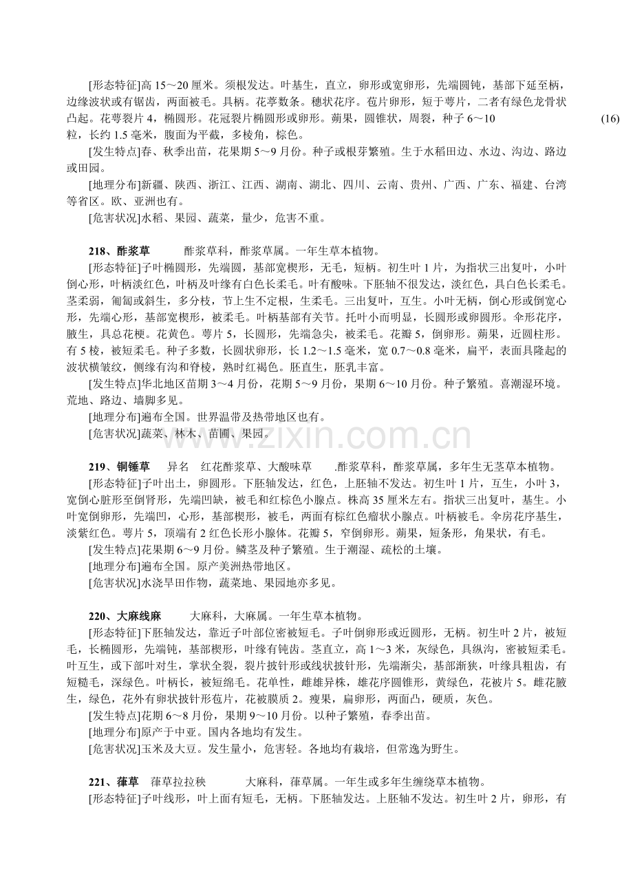 双子叶杂草杂草原色图谱及危害状况.doc_第2页