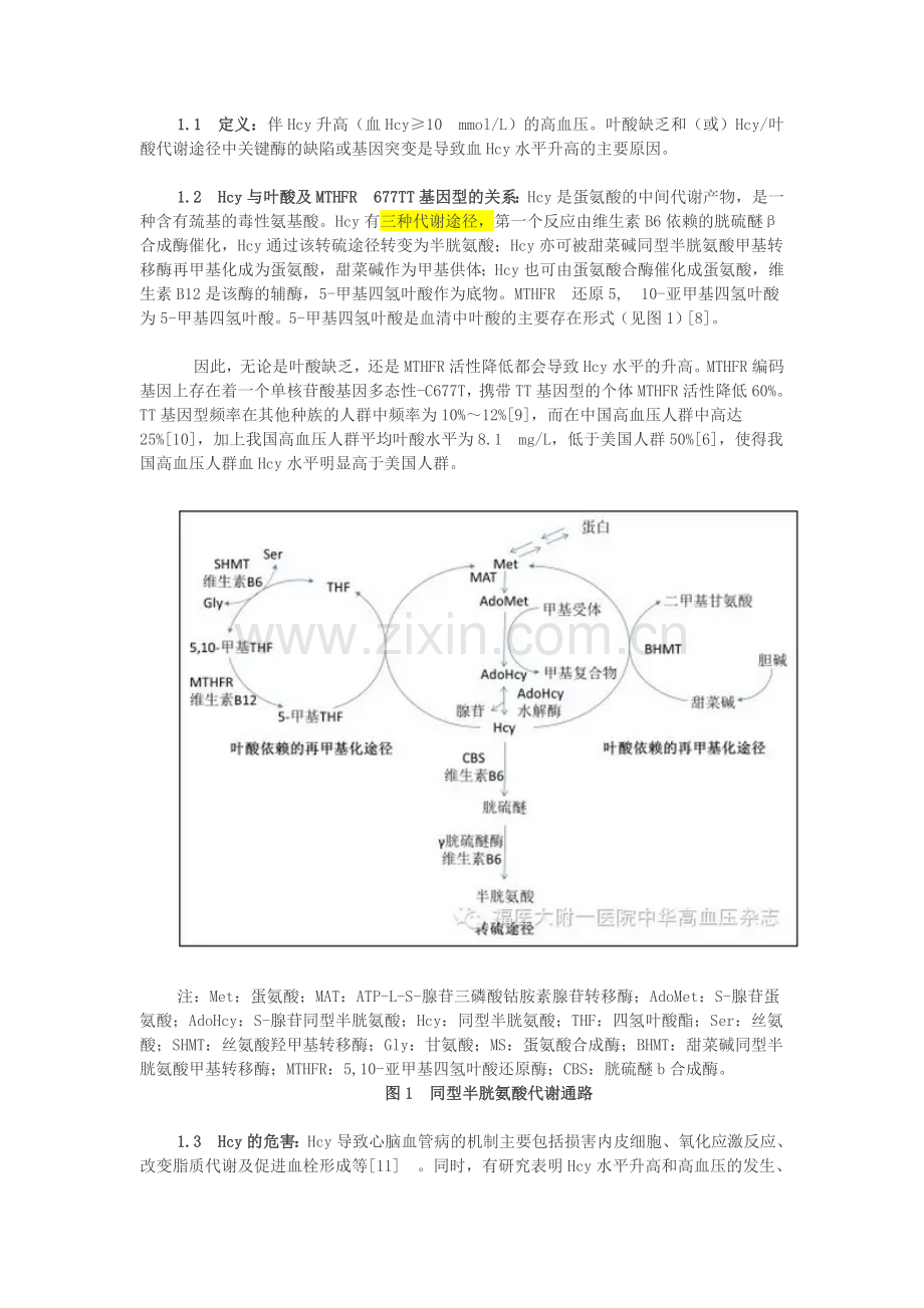 H型高血压诊断与治疗专家共识.doc_第2页