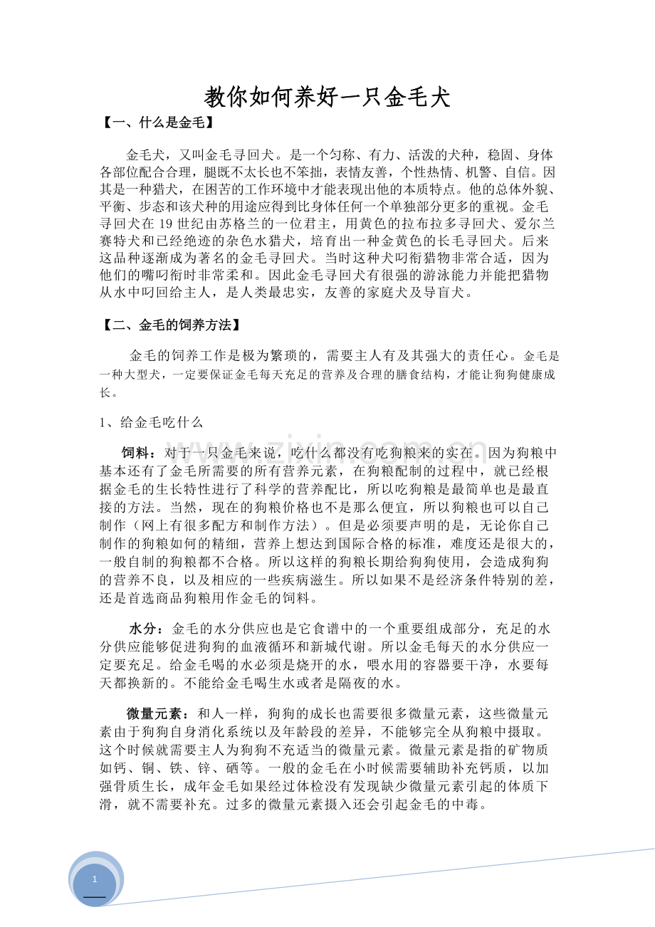 教你如何养好一只金毛犬.docx_第1页