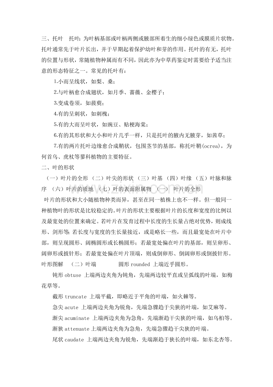 植物学——第三章植物的营养器官-叶.doc_第2页