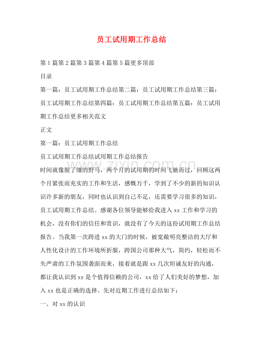 员工试用期工作总结2).docx_第1页