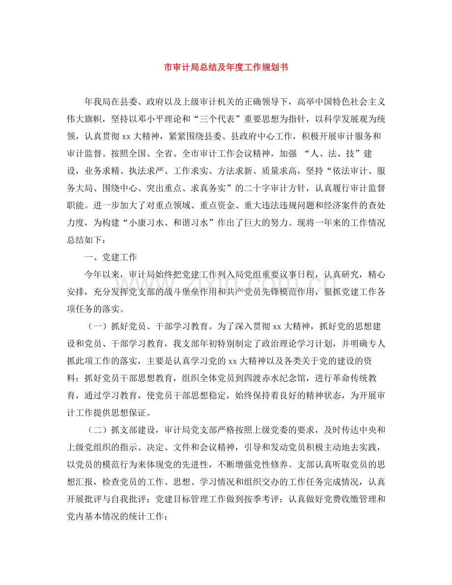 市审计局总结及年度工作规划书.docx_第1页