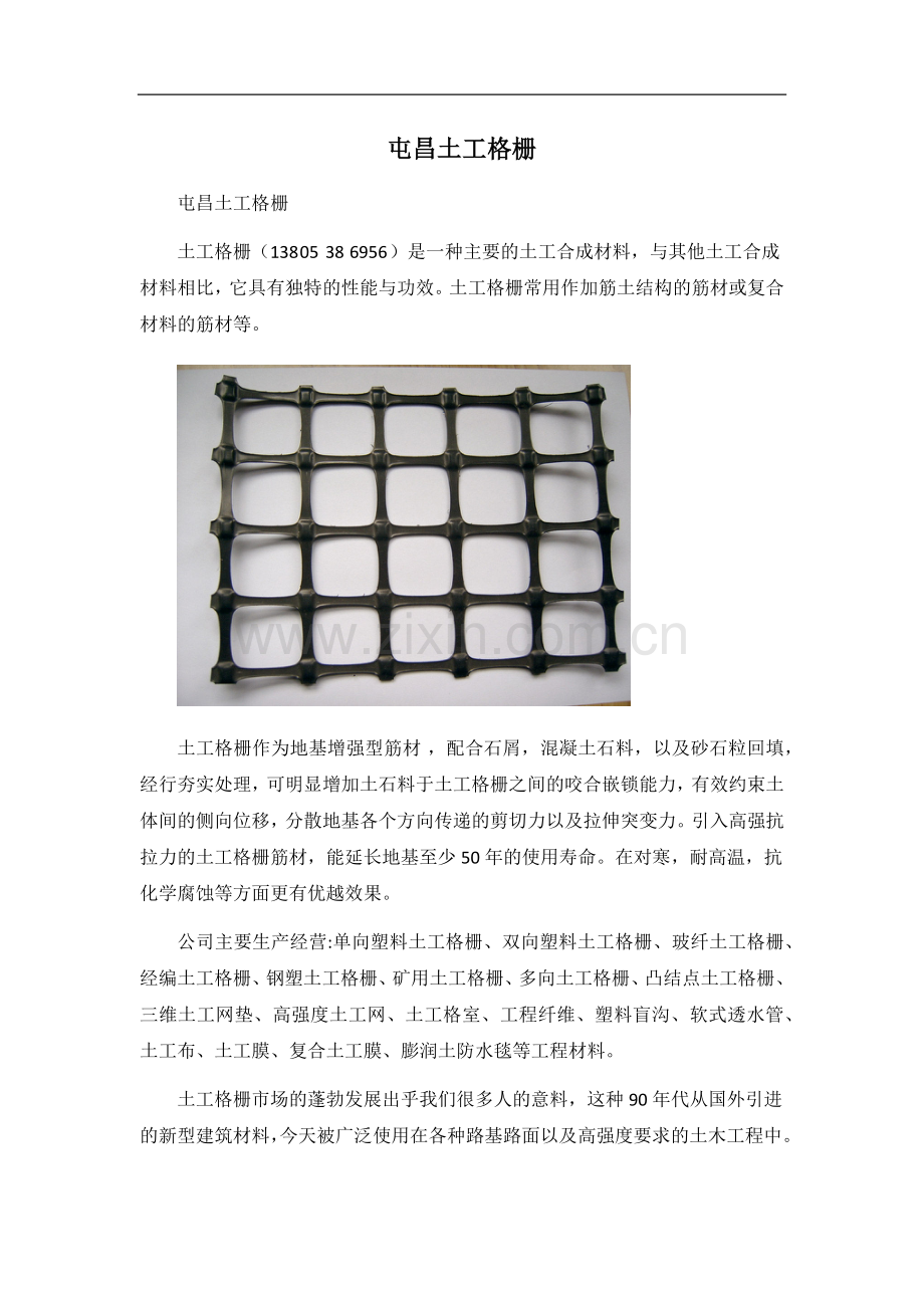 屯昌土工格栅.docx_第1页