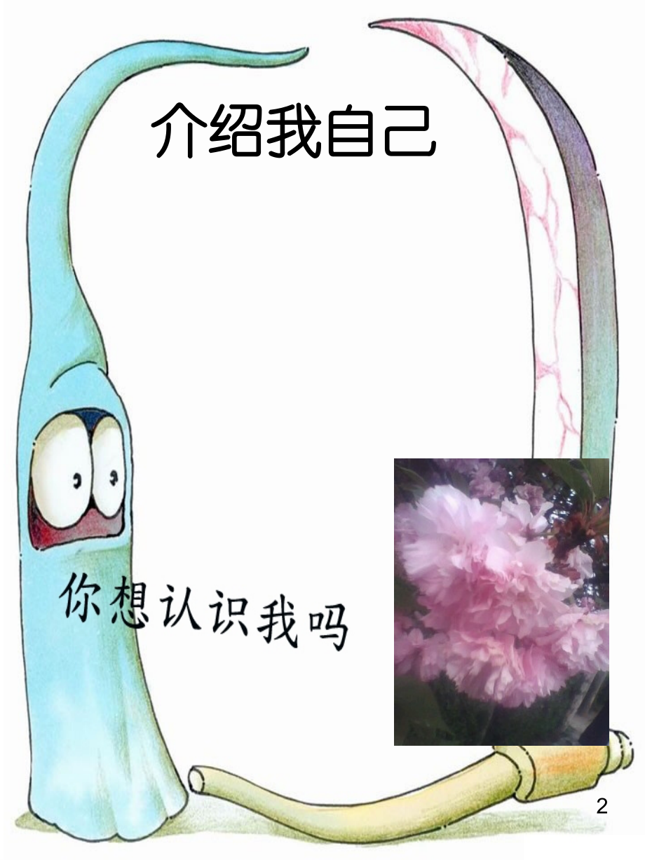 学生成长档案[1].ppt_第2页