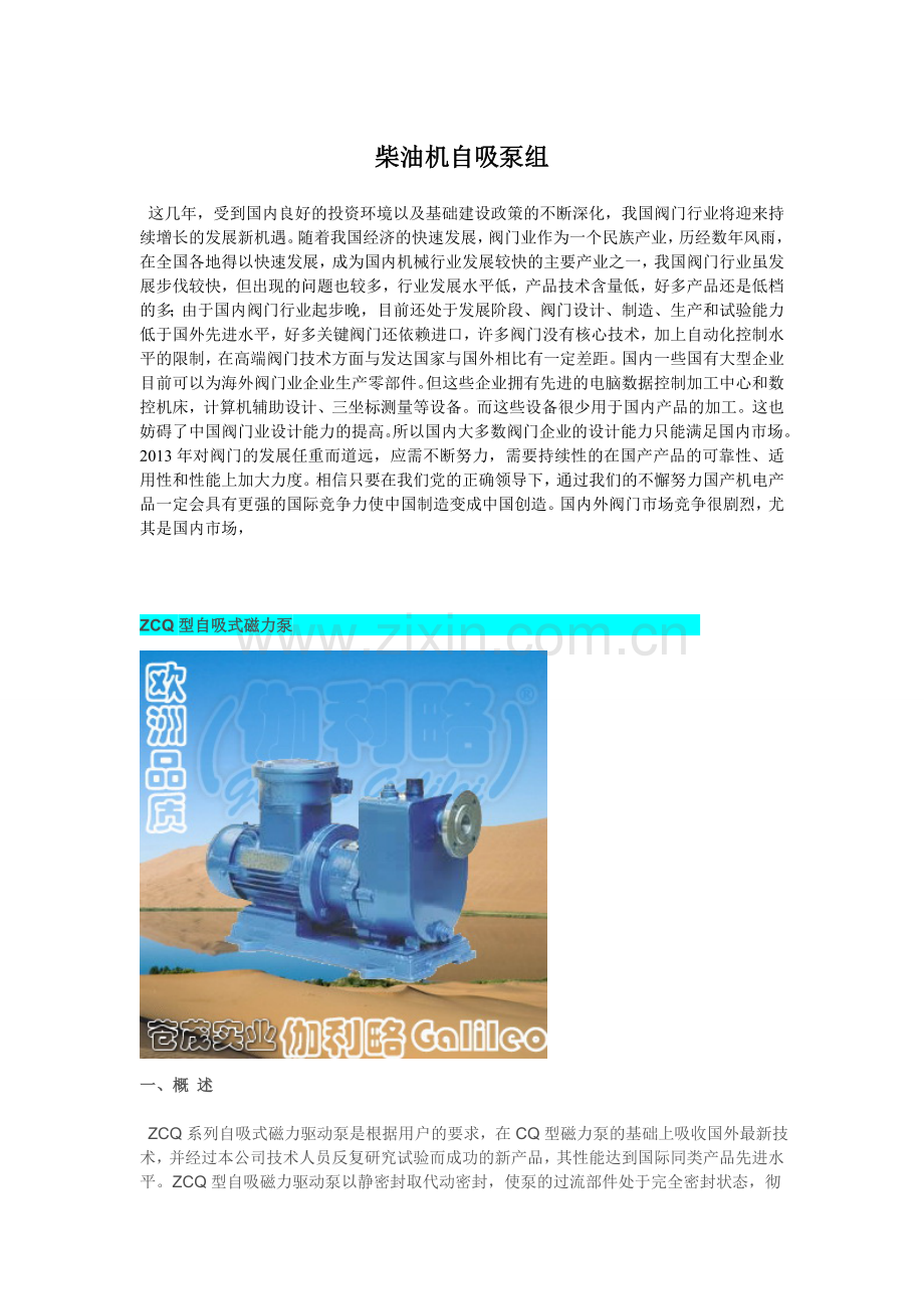 柴油机自吸泵组.doc_第1页