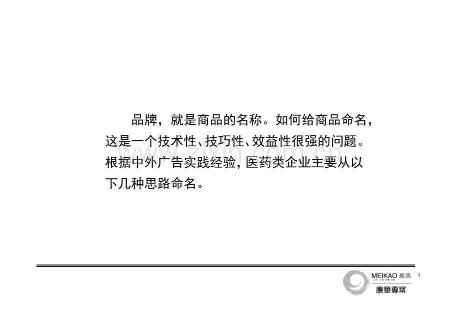 XX制药新品牌命名建议书.doc_第2页