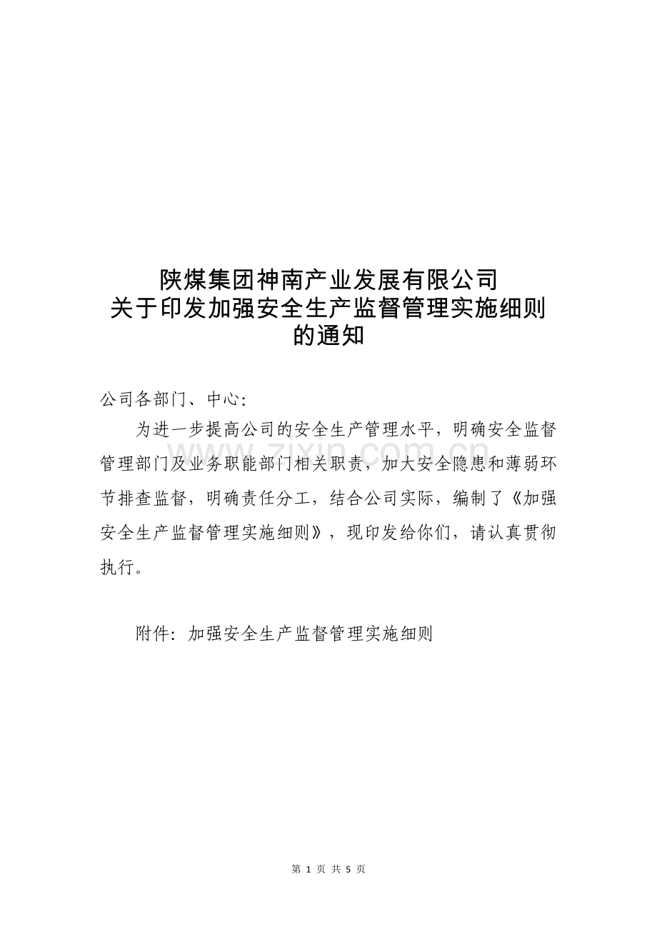 加强安全监督管理实施细则.doc_第1页