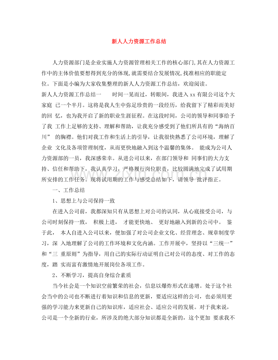 新人人力资源工作总结.docx_第1页