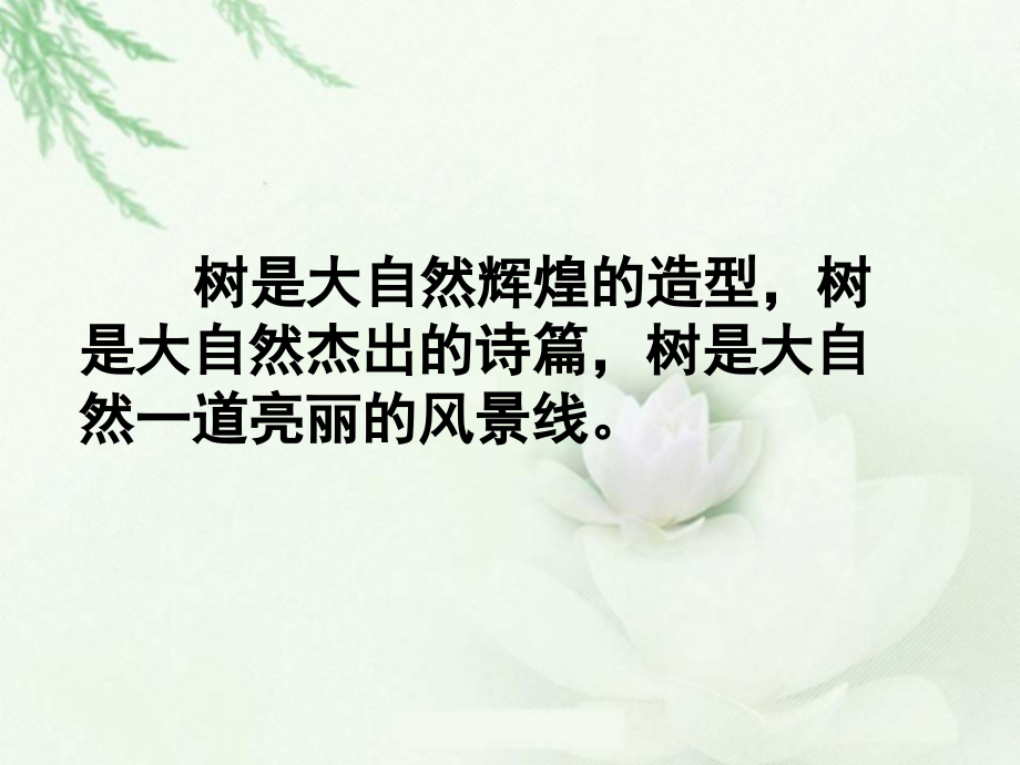 白杨礼赞第二课时.ppt_第2页