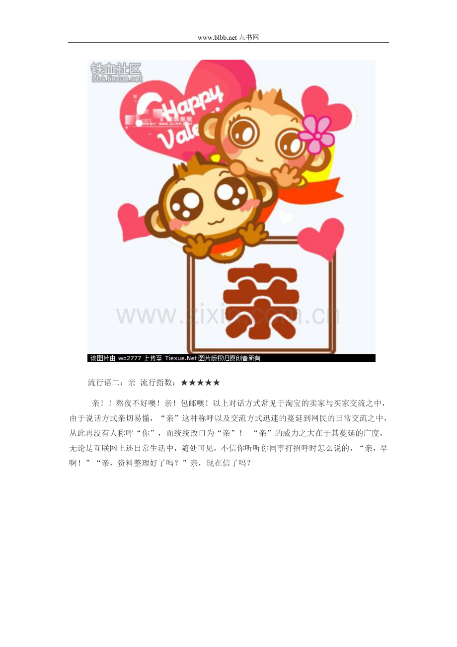 十大网络流行词.doc_第2页