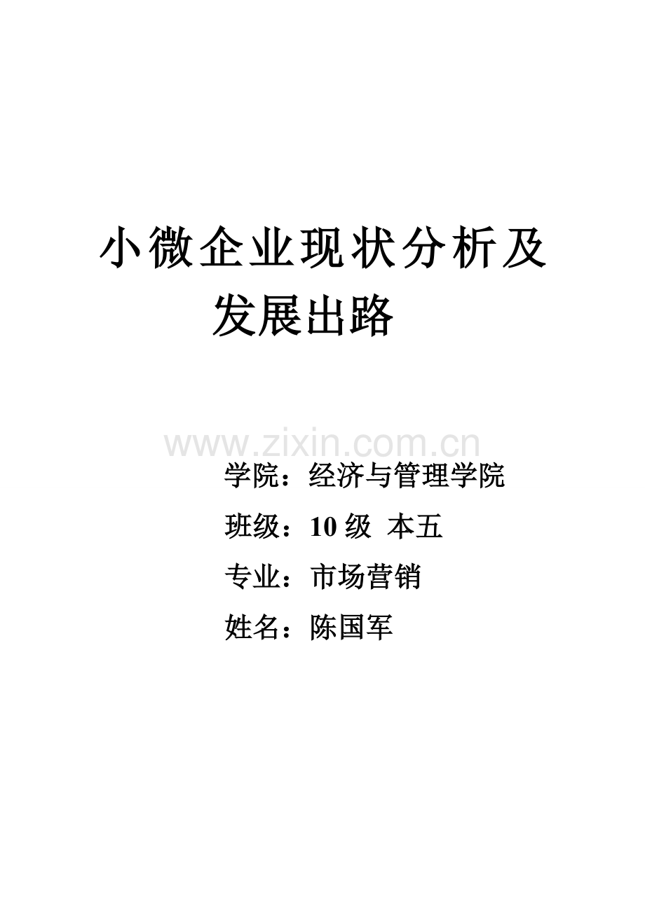 小微企业现状分析及发展出路.doc_第1页