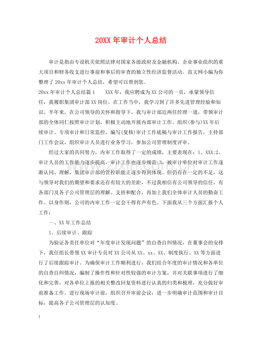 审计个人总结.docx_第1页