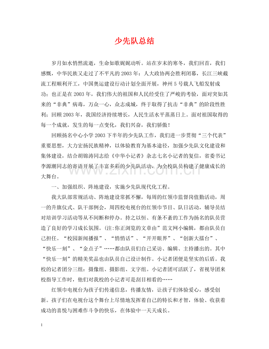 少先队总结.docx_第1页