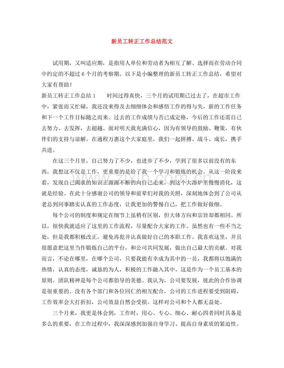 新员工转正工作总结范文.docx_第1页
