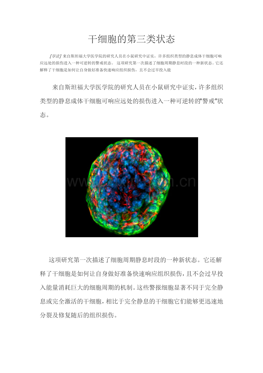 干细胞的第三类状态.docx_第1页
