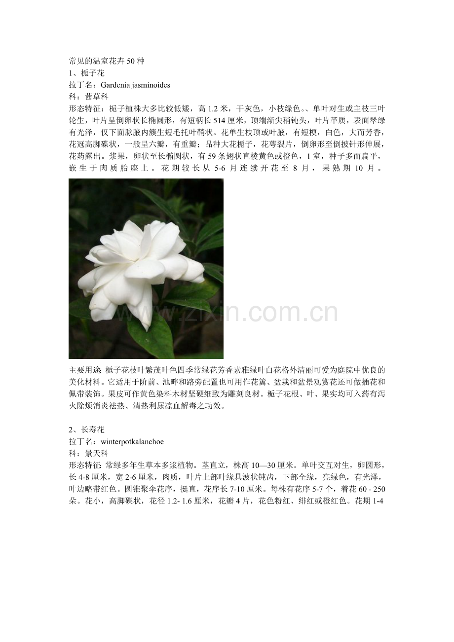 常见温室花卉50种.doc_第1页
