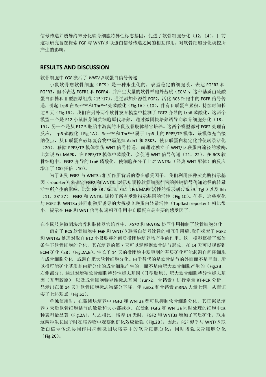 FGF与Wnt通路.docx_第2页