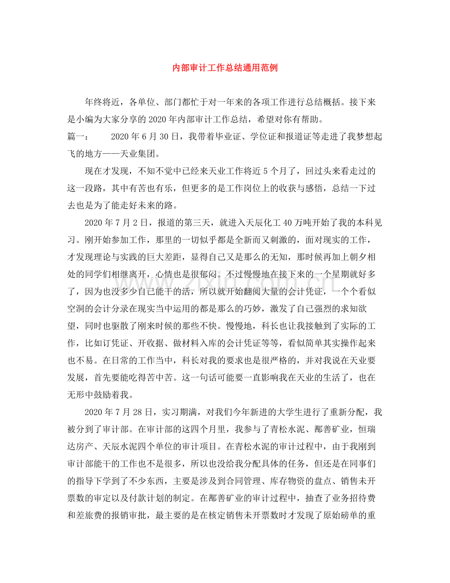 内部审计工作总结通用范例.docx_第1页