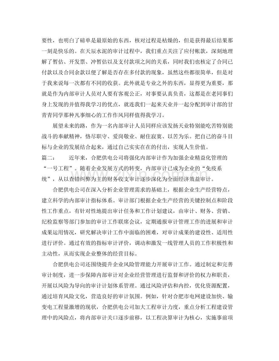 内部审计工作总结通用范例.docx_第2页
