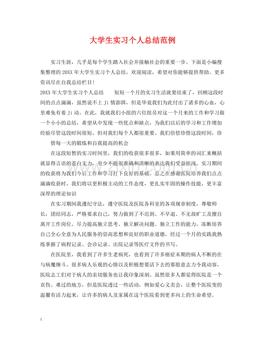 大学生实习个人总结范例.docx_第1页