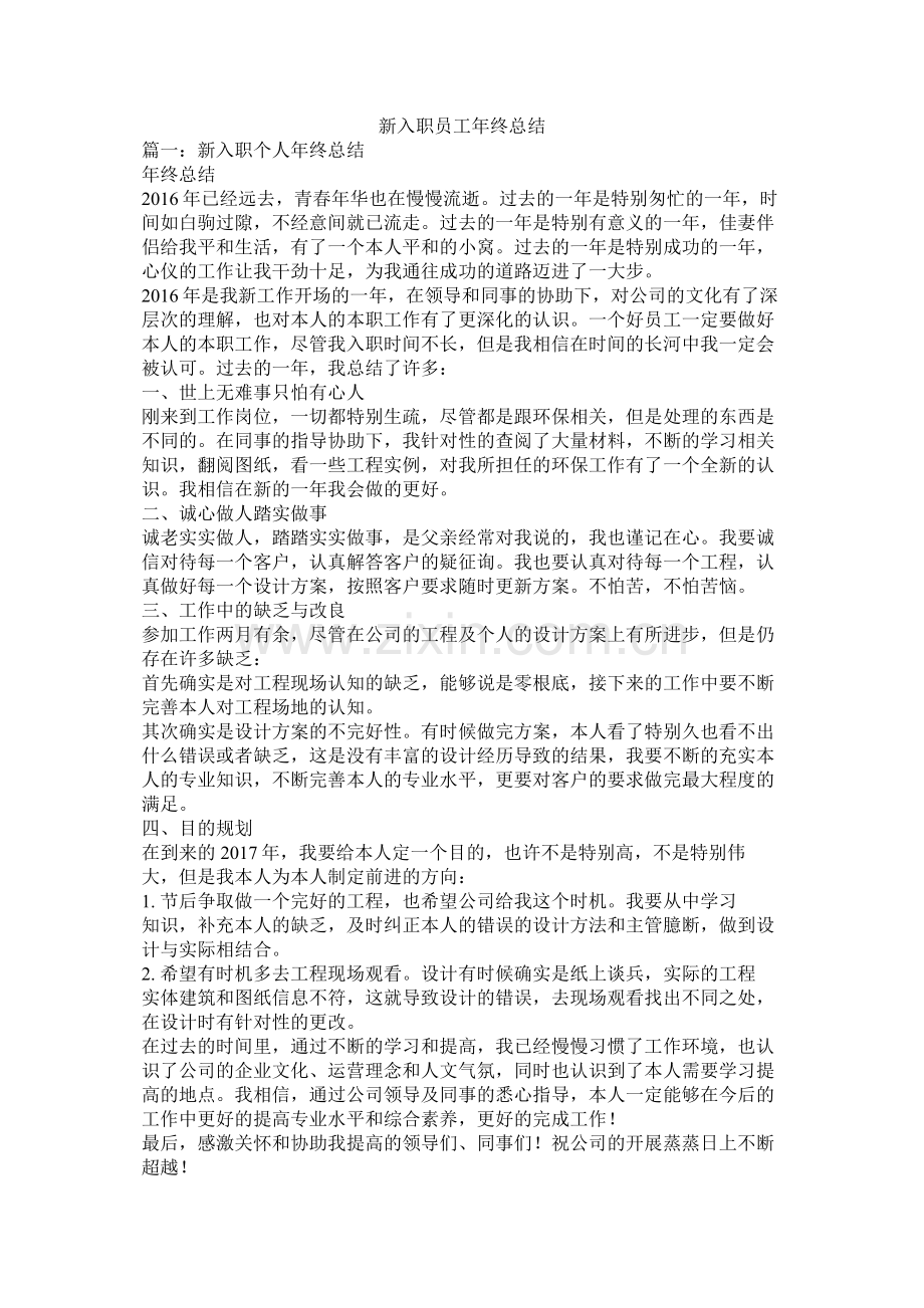 新入职员工年终总结.docx_第1页