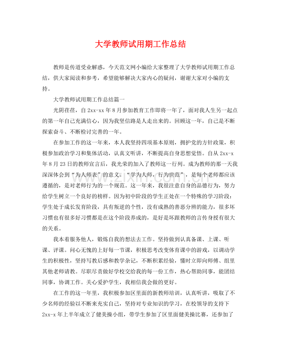 大学教师试用期工作总结 .docx_第1页