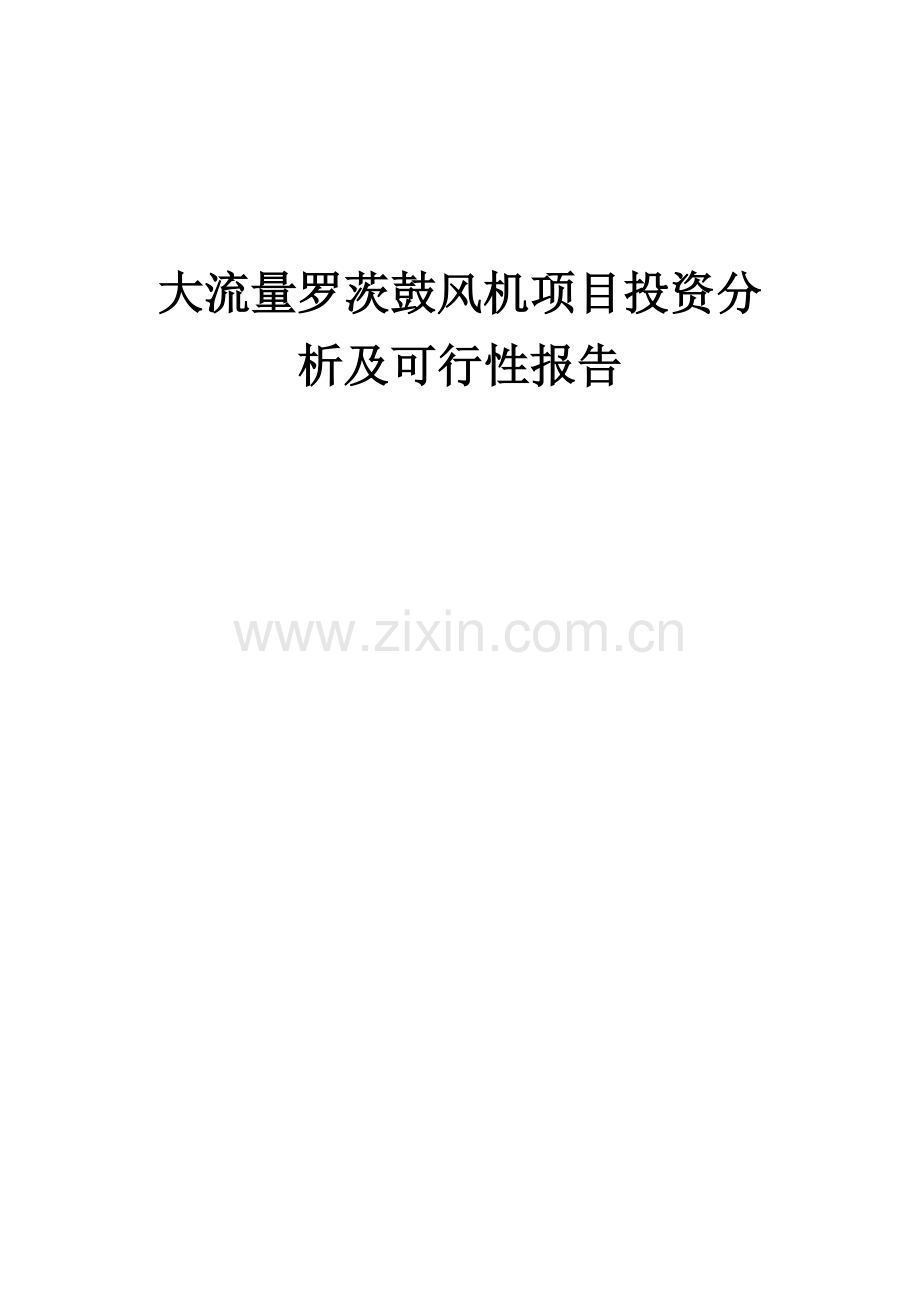 大流量罗茨鼓风机项目投资分析及可行性报告.docx_第1页