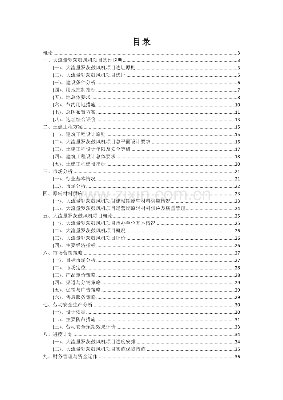 大流量罗茨鼓风机项目投资分析及可行性报告.docx_第2页