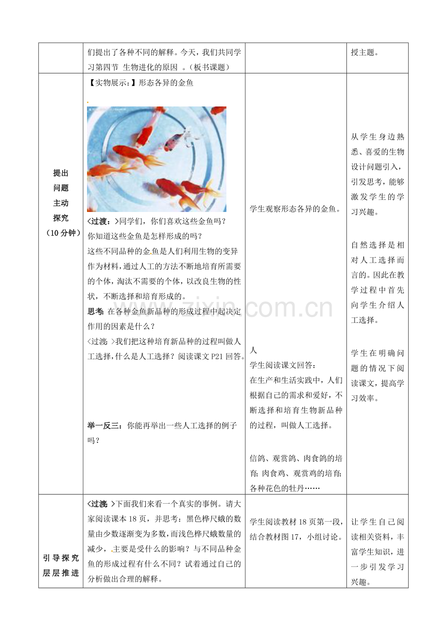 广西柳州市第十二中学七年级生物下册 生物进化的原因教案1 新人教版.doc_第2页