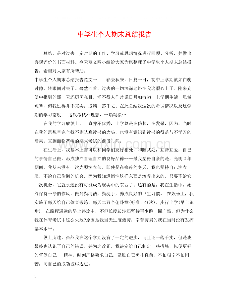 生个人期末总结报告.docx_第1页