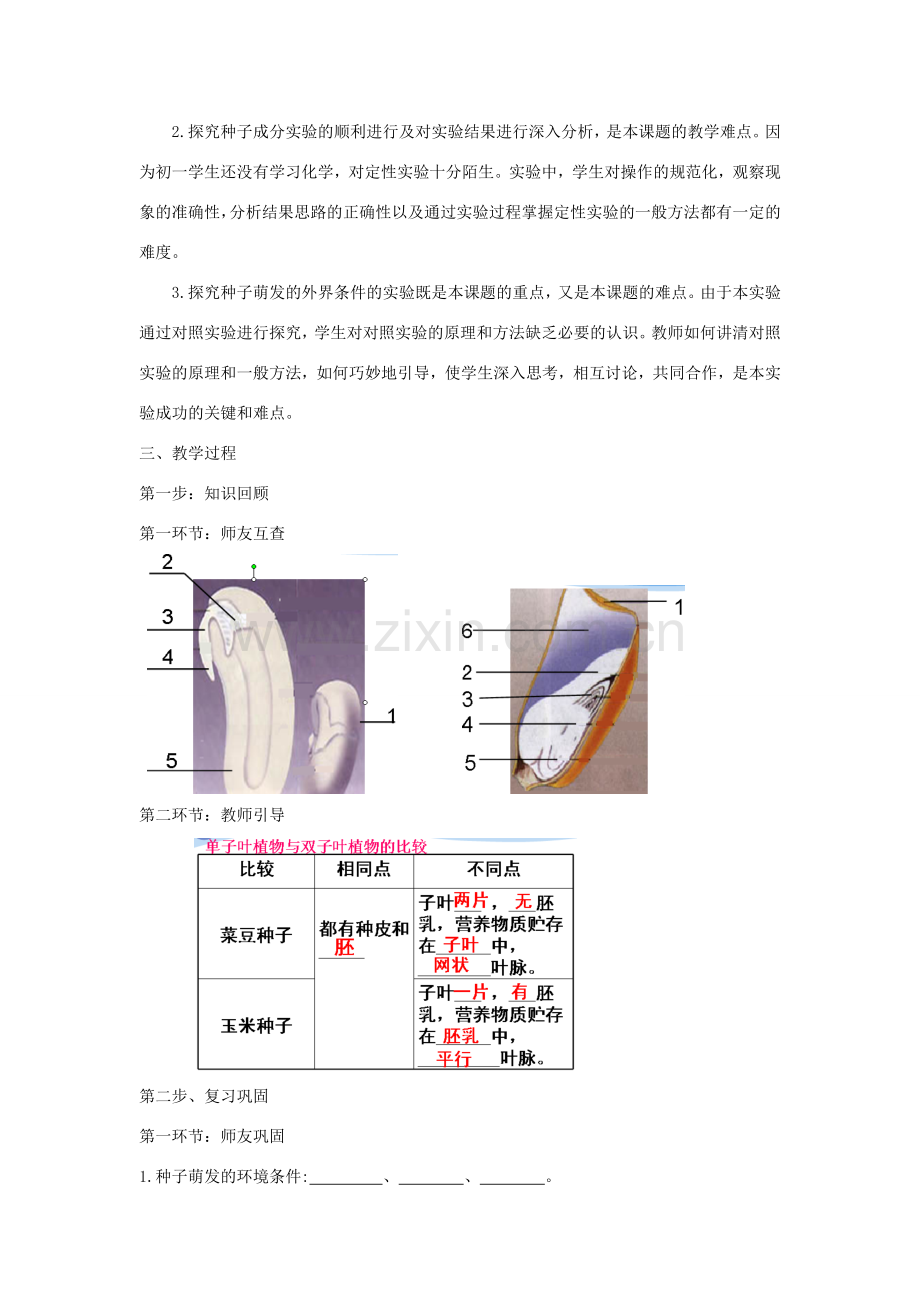 七年级生物上册 3.2.2-3.2.1 种子的萌发和植株的生长教案 （新版）新人教版-（新版）新人教版初中七年级上册生物教案.doc_第2页