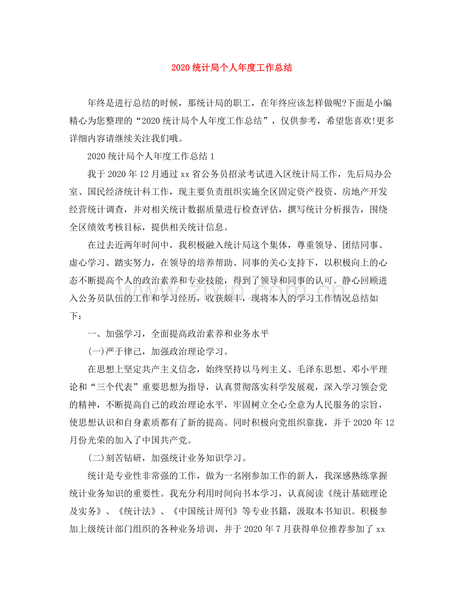 统计局个人年度工作总结.docx_第1页