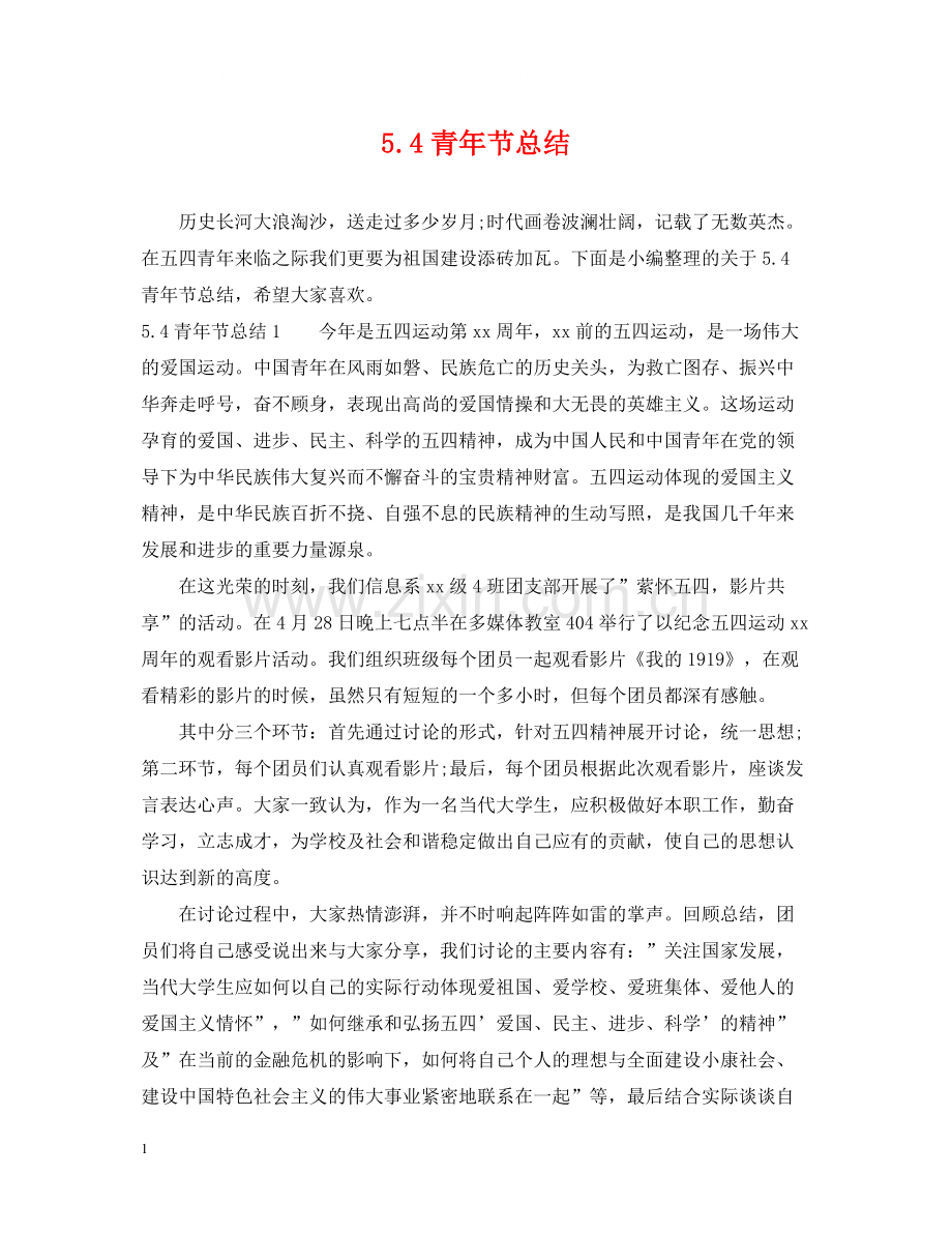 青年节总结.docx_第1页