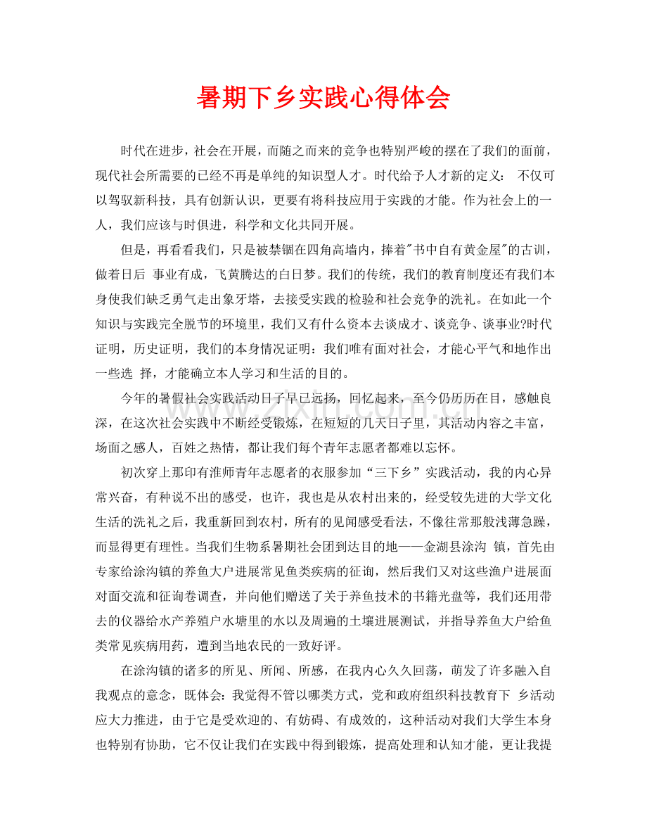暑期下乡实践心得体会.doc_第1页
