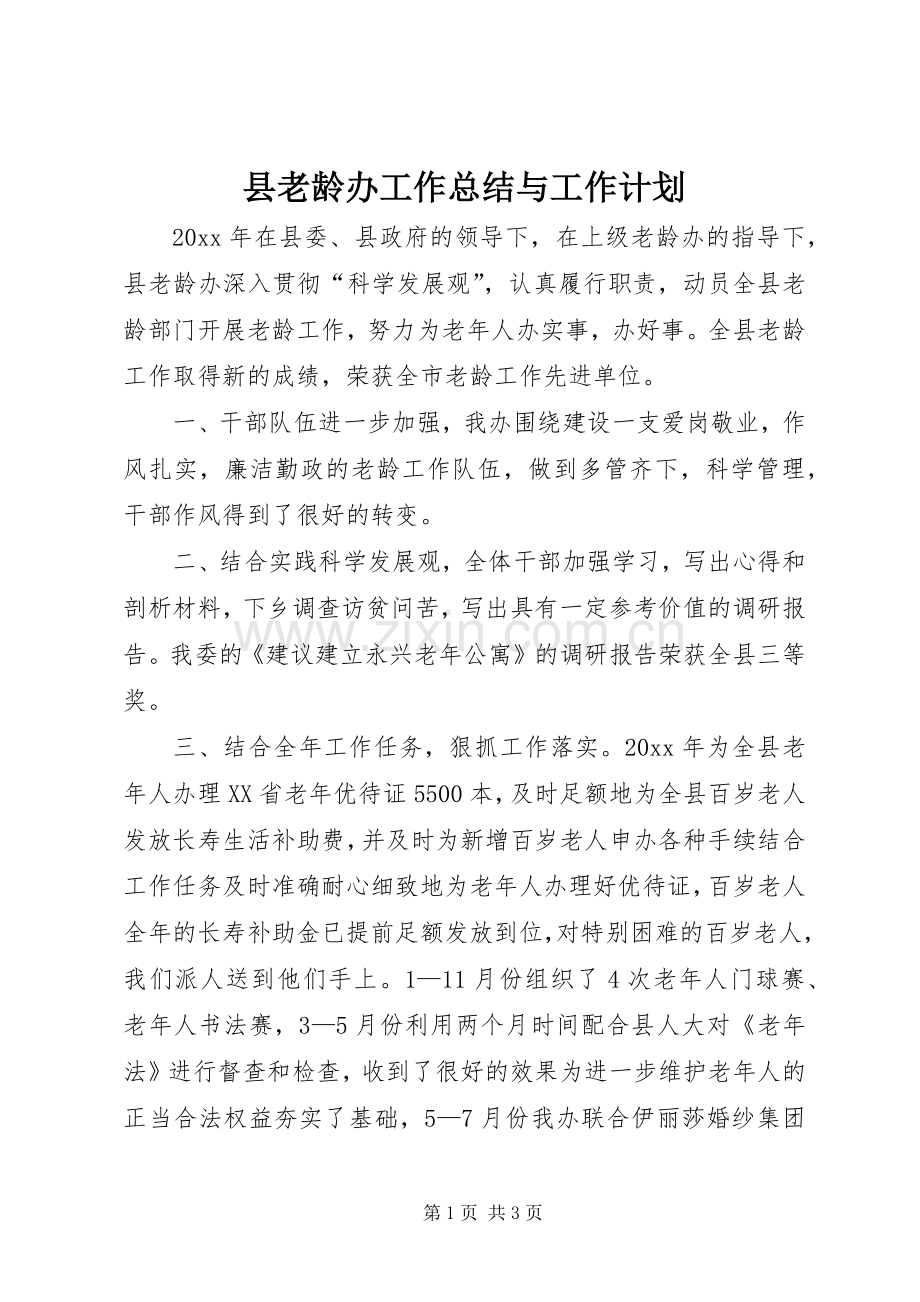 县老龄办工作总结与工作计划.docx_第1页