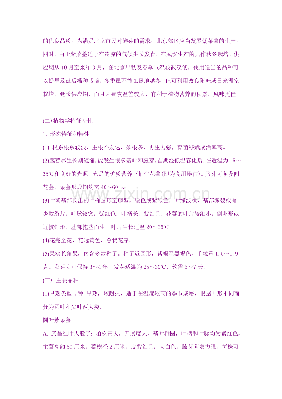 特菜--紫菜薹.doc_第2页