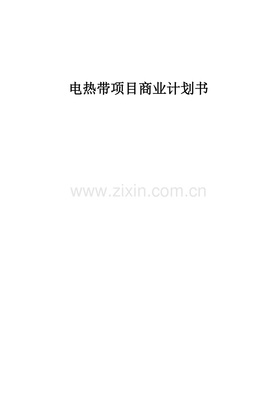 电热带项目商业计划书.docx_第1页