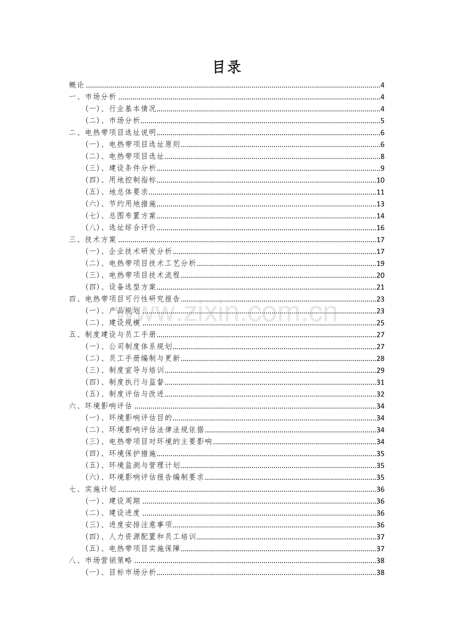 电热带项目商业计划书.docx_第2页