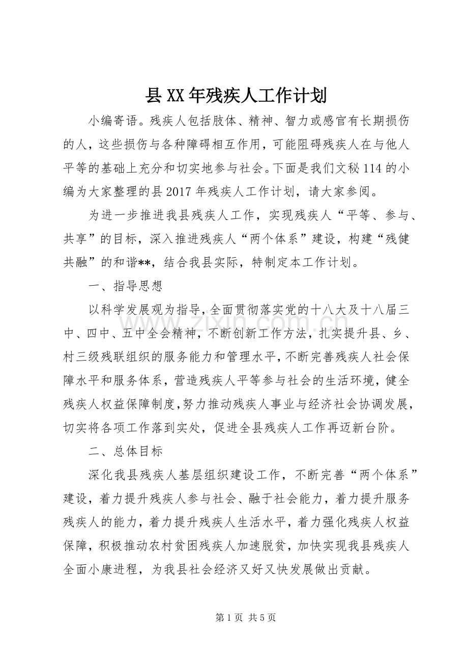 县XX年残疾人工作计划.docx_第1页