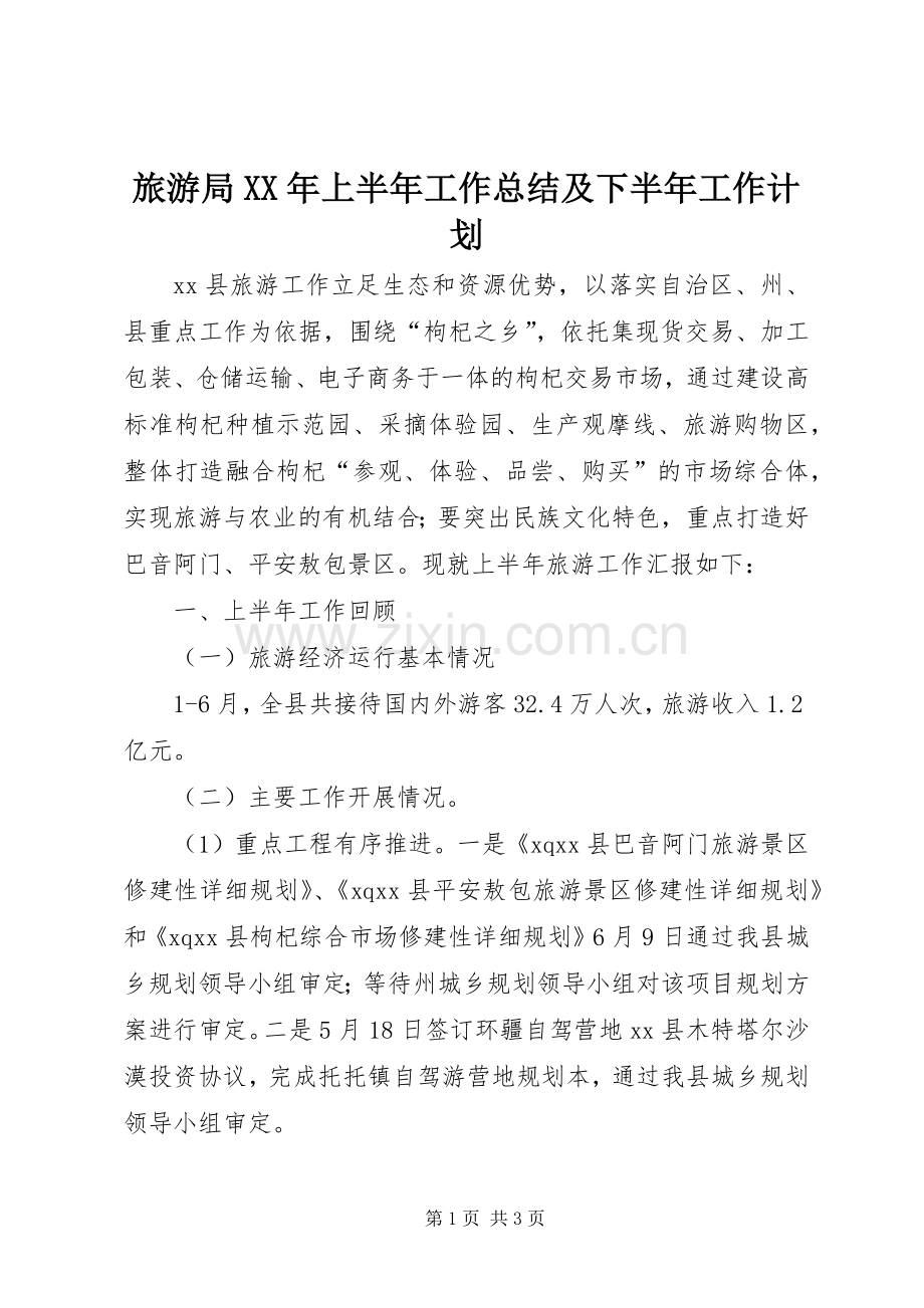 旅游局XX年上半年工作总结及下半年工作计划.docx_第1页