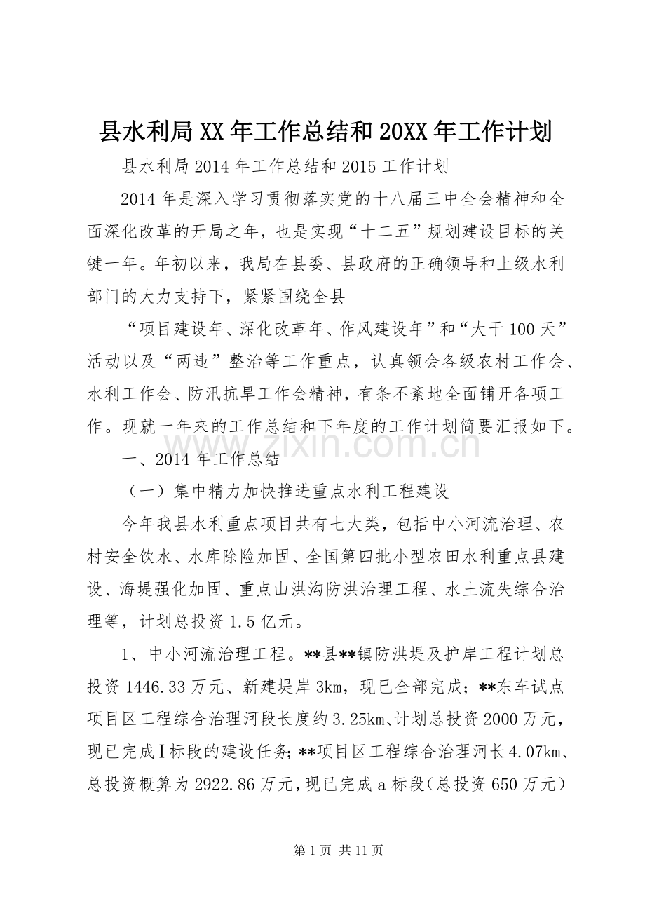 县水利局XX年工作总结和20XX年工作计划.docx_第1页