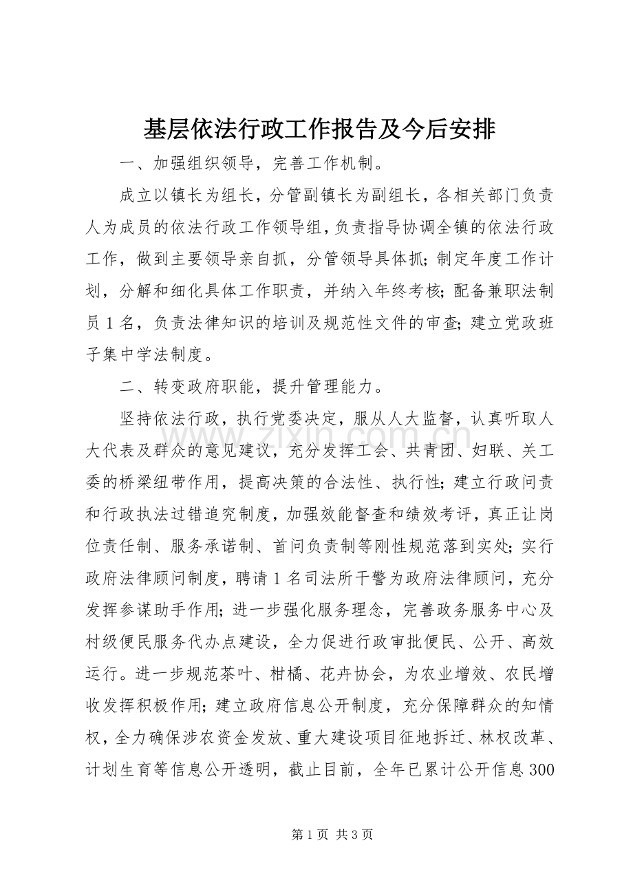基层依法行政工作报告及今后安排 .docx_第1页