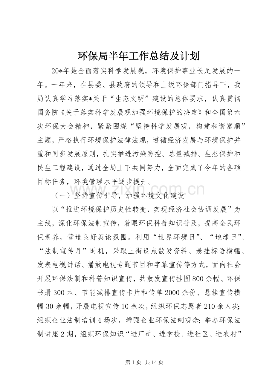 环保局半年工作总结及计划.docx_第1页