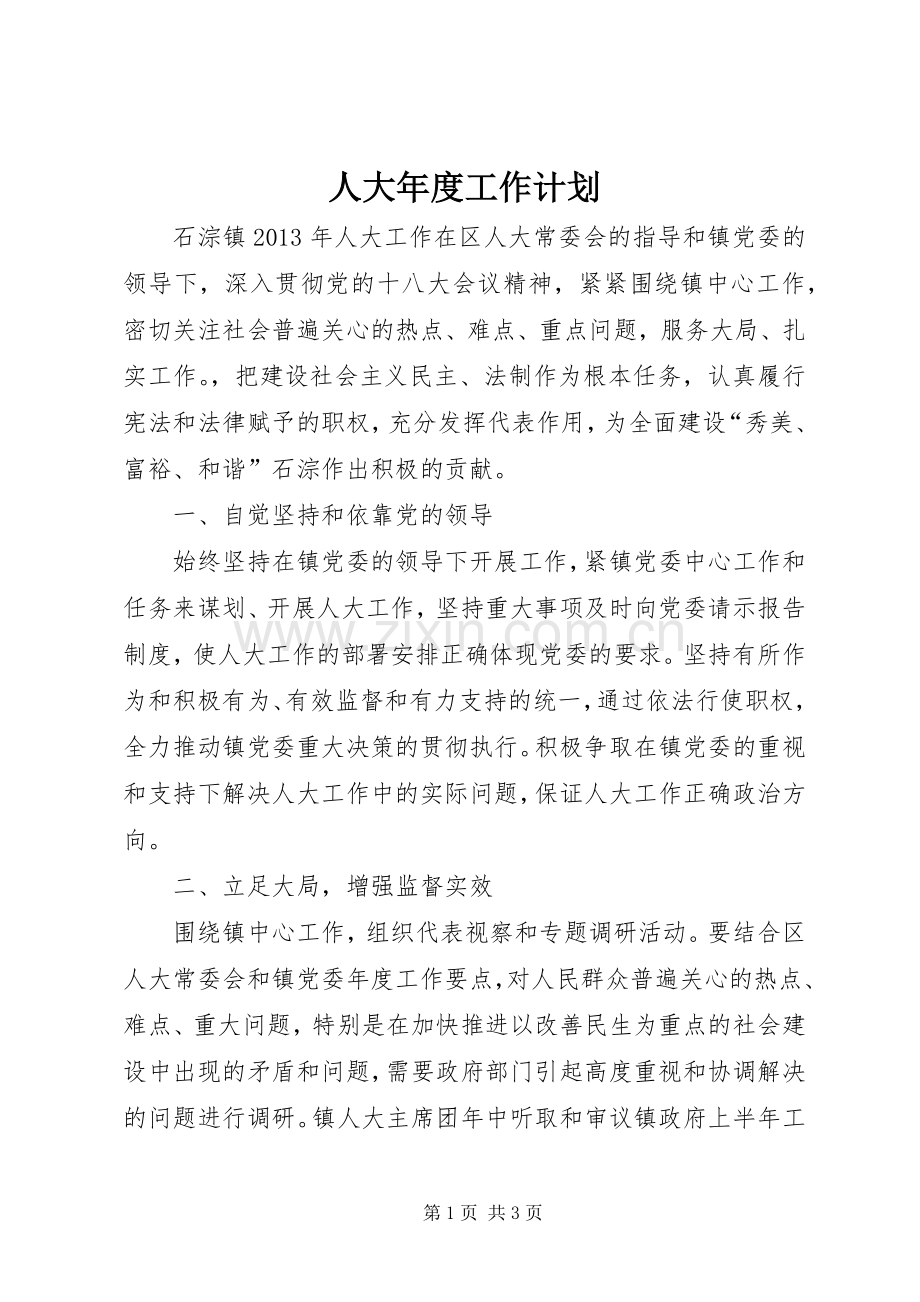 人大年度工作计划.docx_第1页
